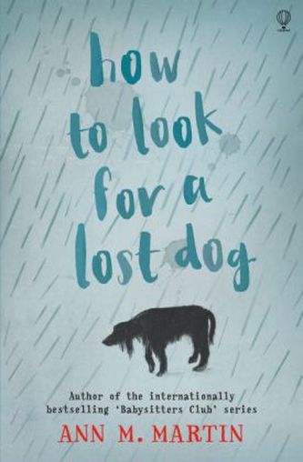 How to look for a lost dog