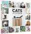Cats on Instagram