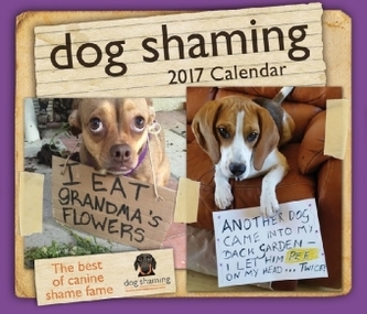 Dog Shaming 2018 Day-to-Day Calendar