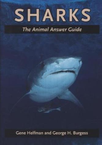 Sharks