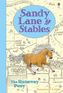 Sandy Lane Stables: The Runaway Pony