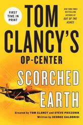 Tom Clancy's Op-Center: Scorched Earth