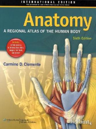 Anatomy