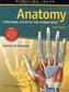 Anatomy
