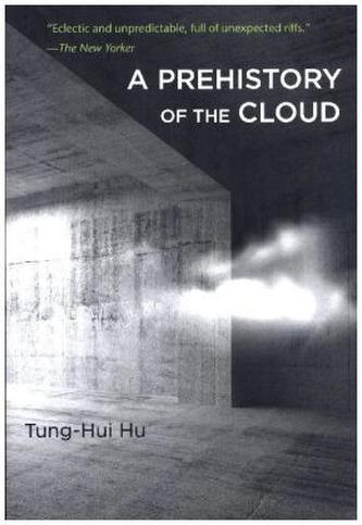 A Prehistory of the Cloud