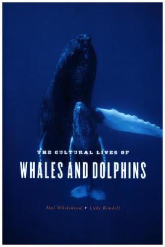 Cultural Lives of Whales and Dolphins
