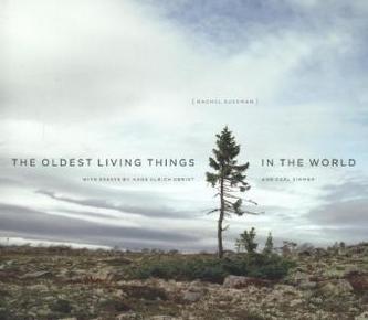 Oldest Living Things in the World