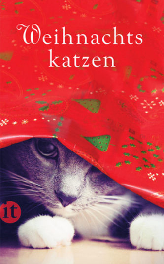 Weihnachtskatzen
