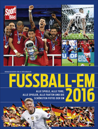 Fußball-EM 2016