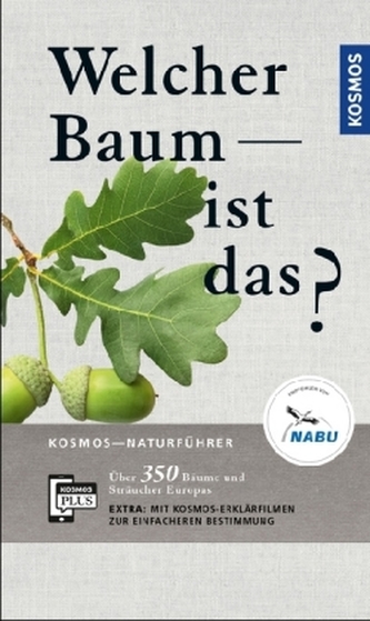 Welcher Baum ist das?