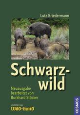 Schwarzwild