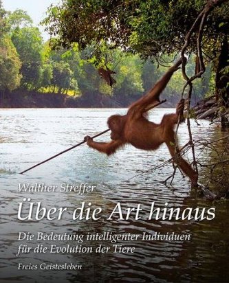Über die Art hinaus