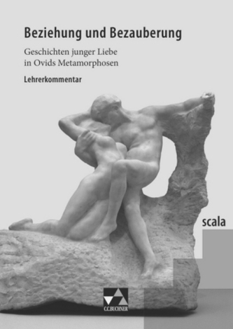 Beziehung und Bezauberung, Lehrerkommentar
