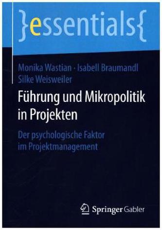 Führung und Mikropolitik in Projekten