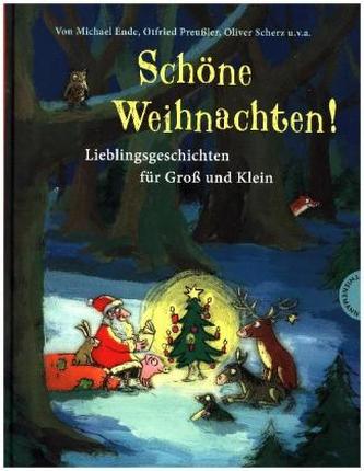 Schöne Weihnachten!, Lieblingsgeschichten für Groß und Klein