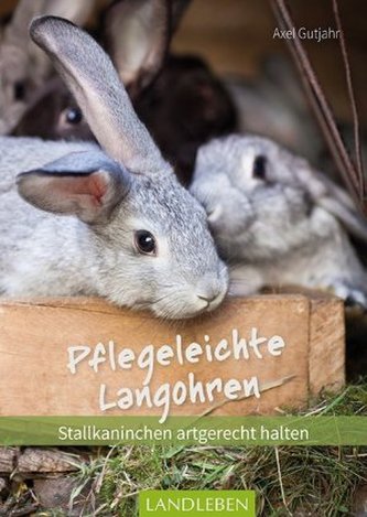 Pflegeleichte Langohren