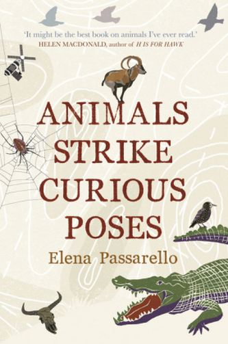Animals Strike Curious Poses