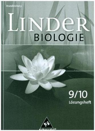 9./10. Schuljahr, Lösungen