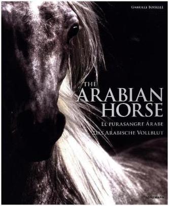 The Arabian Horse