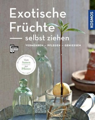 Exotische Früchte selbst ziehen