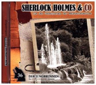 Sherlock Holmes & Co - Der Jungbrunnen. Tl.1, 1 Audio-CD