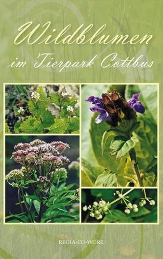 Wildblumen im Tierpark Cottbus