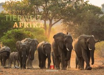 Tierwelt Afrika 2019