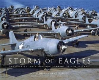 Storm of Eagles