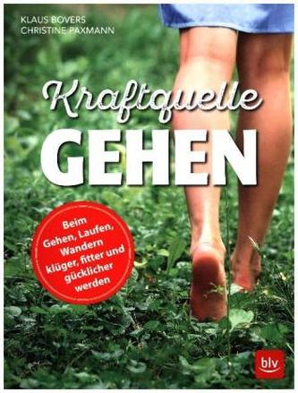 Kraftquelle Gehen