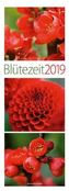 Blütezeit 2019