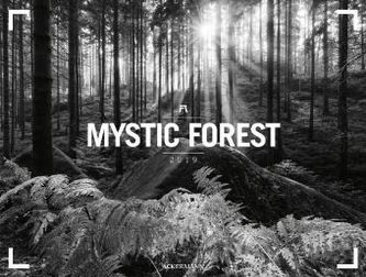 Mystic Forest 2019