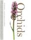Orchids