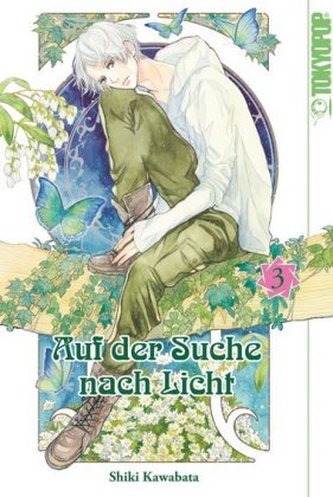 Auf der Suche nach Licht. Bd.3