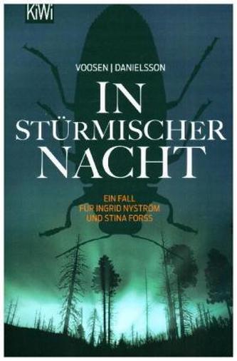 In stürmischer Nacht