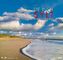 Die Insel Sylt 2019