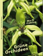 Grüne Orchideen