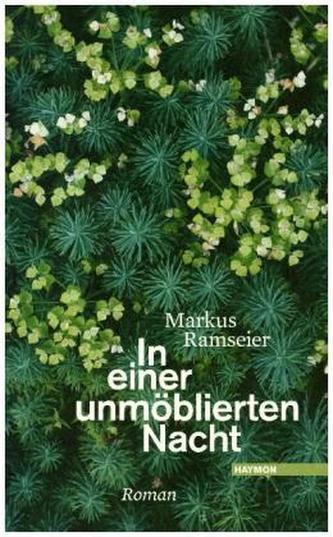 In einer unmöblierten Nacht In einer unmöblierten Nacht