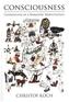 Consciousness