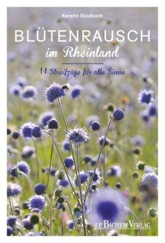 Blütenrausch im Rheinland