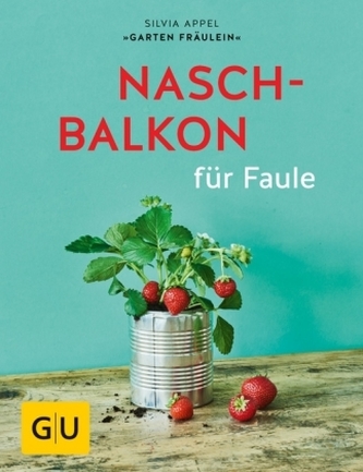 Naschbalkon für Faule