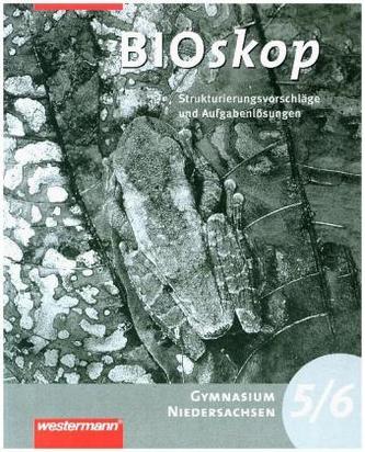 5./6. Schuljahr, Strukturierungsvorschläge und Lösungen