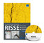 Risse: Ursachen - Diagnostik - Instandsetzung, m. CD-ROM
