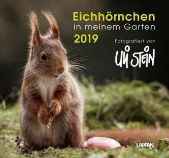 Eichhörnchen in meinem Garten 2019 Eichhörnchen in meinem Garten 2019
