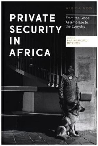 Private Security in Africa
