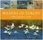 Waders of Europe