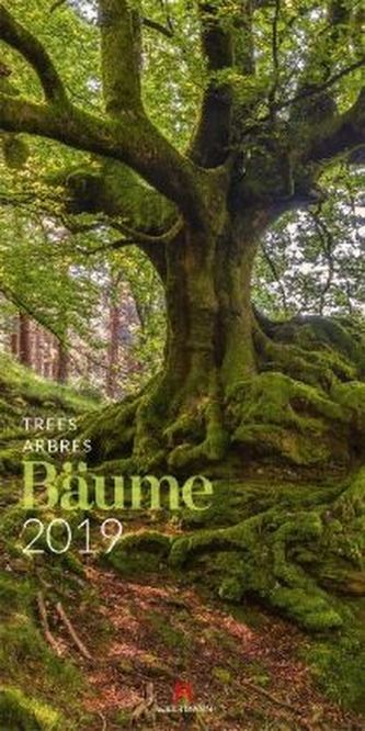 Bäume 2019