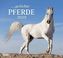 Geliebte Pferde 2019