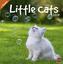 Wegler Little Cats 2019