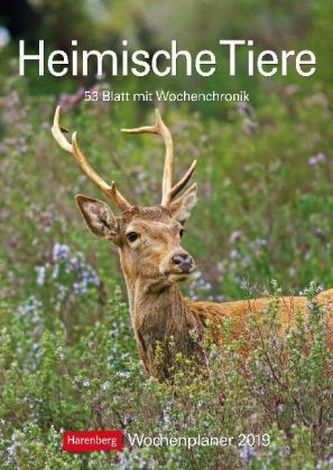 Heimische Tiere 2019