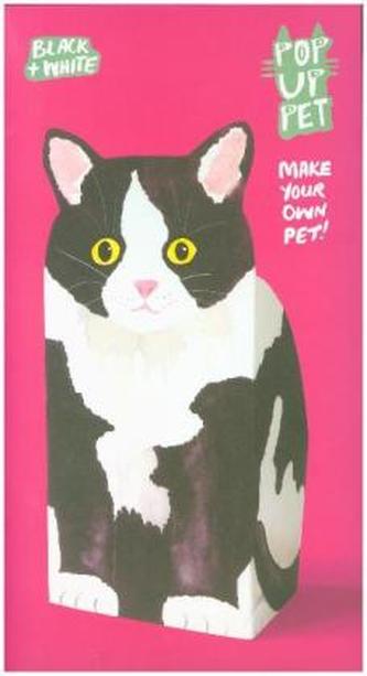Black & White Cat